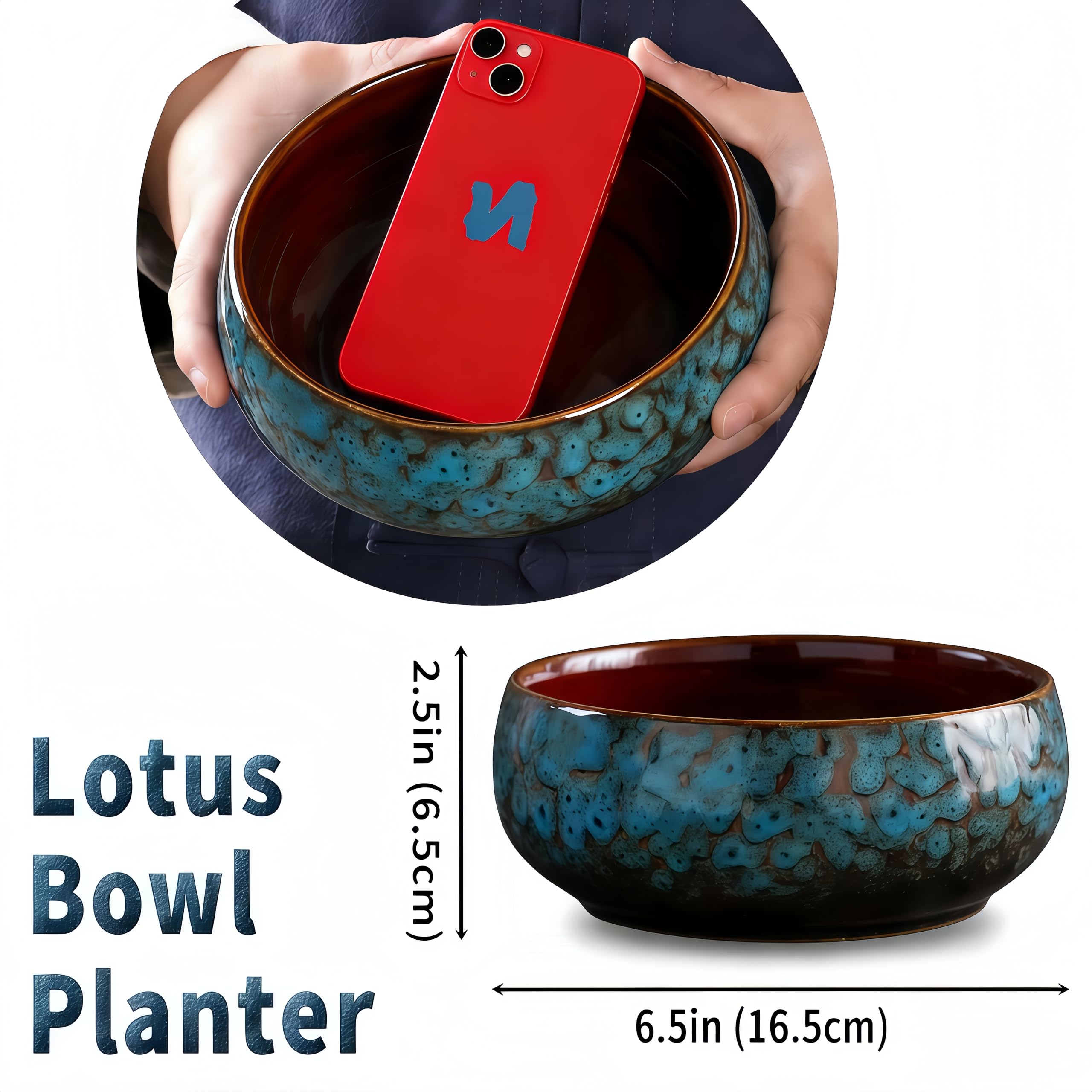 Lotus Bowl Planter interior moisture retention supports healthy succulents and water plants.