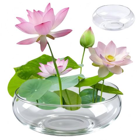 Lotus Bowl Planter with oval top opening for indoor planting