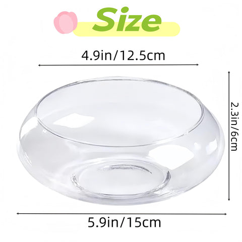 Lotus Bowl Planter side view showing clear glass and stability