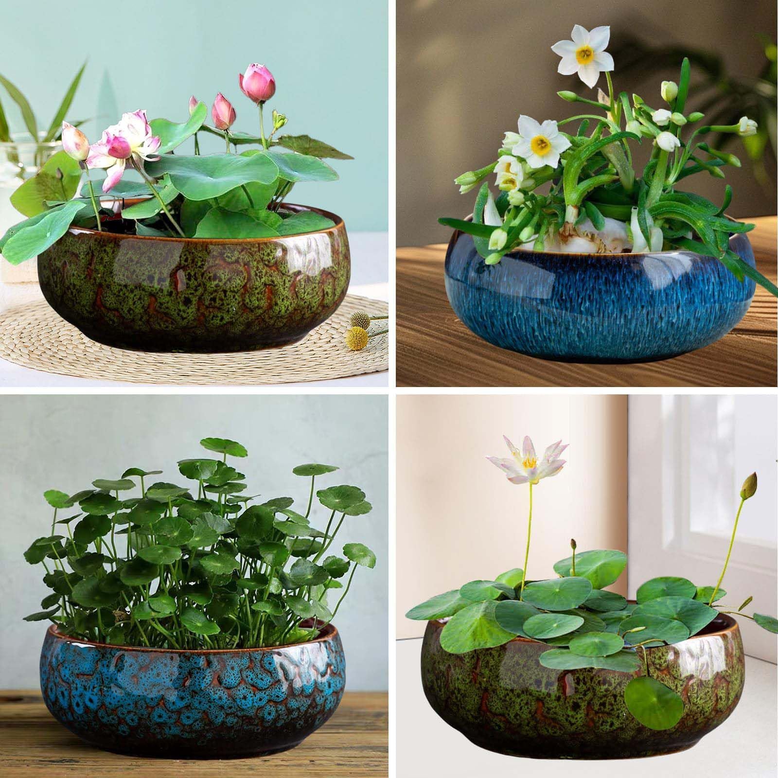 Lotus Bowl Planter doubles as a vase, fish tank, or hydroponic planter.