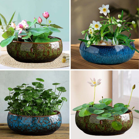 Lotus Bowl Planter doubles as a vase, fish tank, or hydroponic planter.