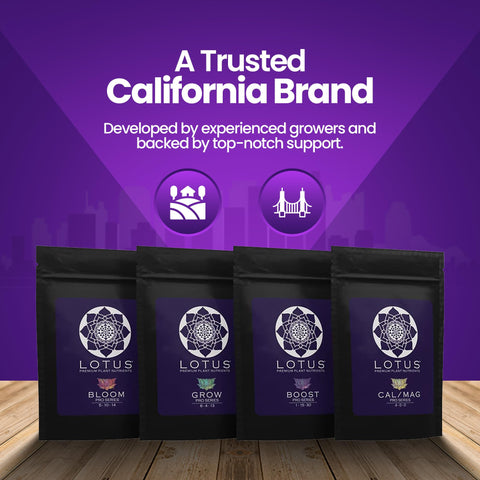 Lotus Nutrients Bloom formula bottle aids flowering and resin production.