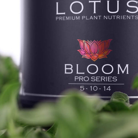 Lotus Nutrients Bloom Pro Series feed schedule flexibility supports varied grow setups.