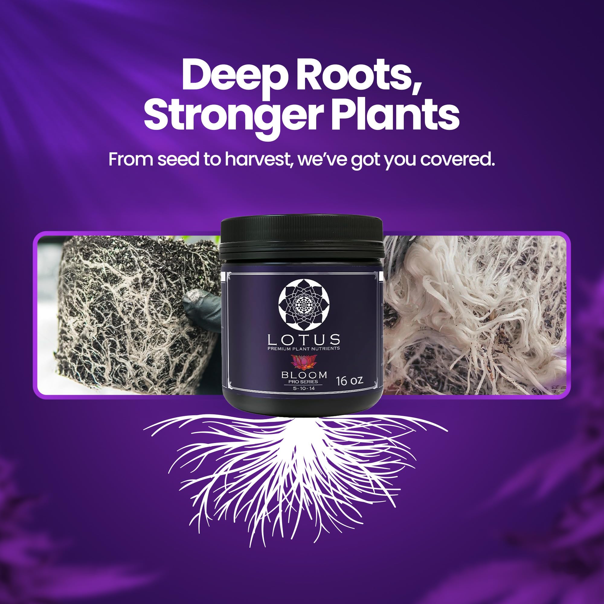 Lotus Nutrients Bloom Pro Series works across media providing versatile compatibility.