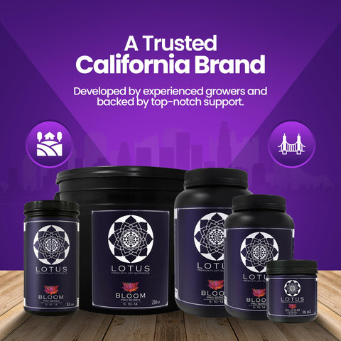 Lotus Nutrients Bloom Pro Series balances pH naturally near 6.0 for smoother feeding.
