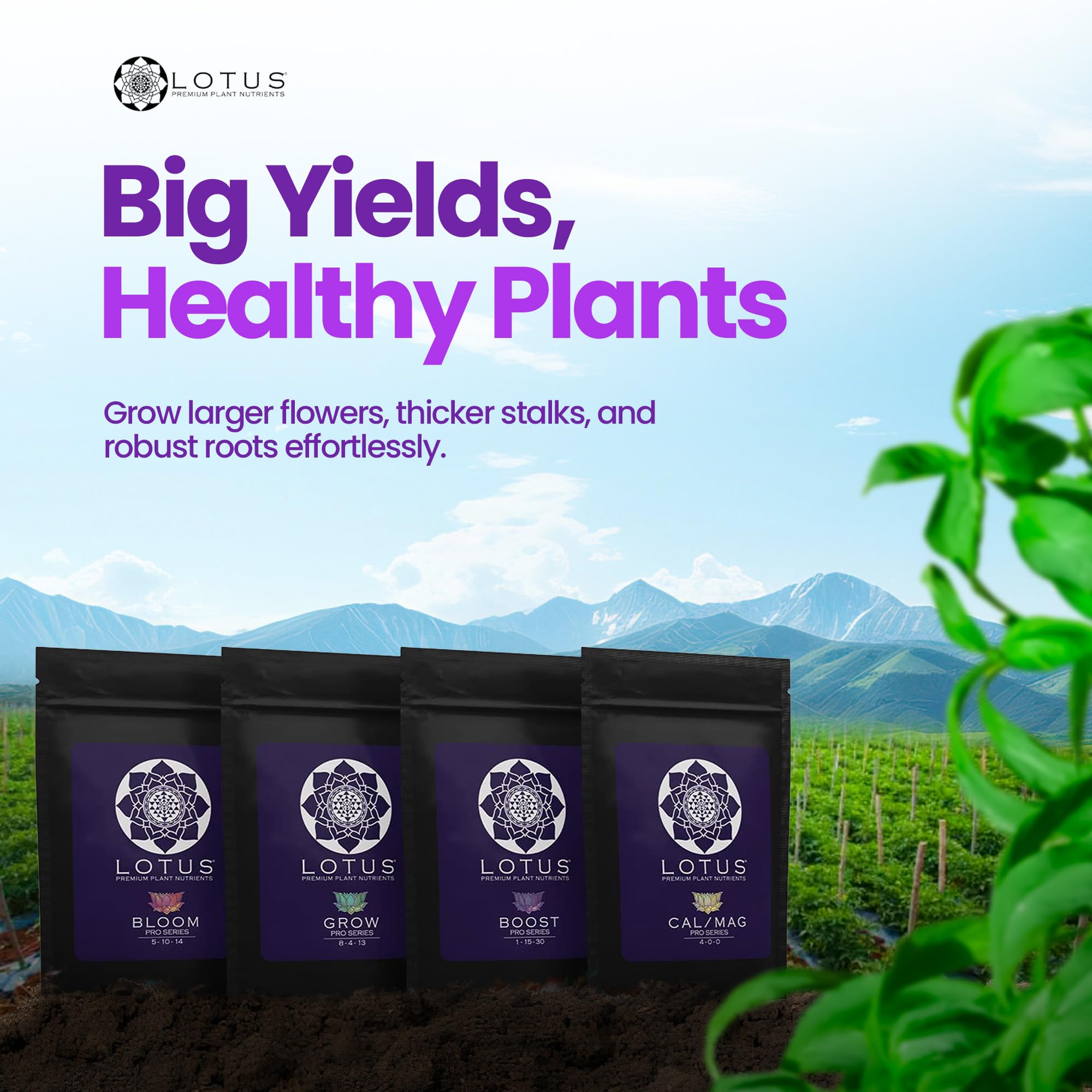 Lotus Nutrients Boost formula bottle provides targeted support during key transitions.