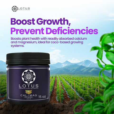 Lotus Nutrients Cal-Mag Pro in a coco coir setup prevents calcium and magnesium issues.