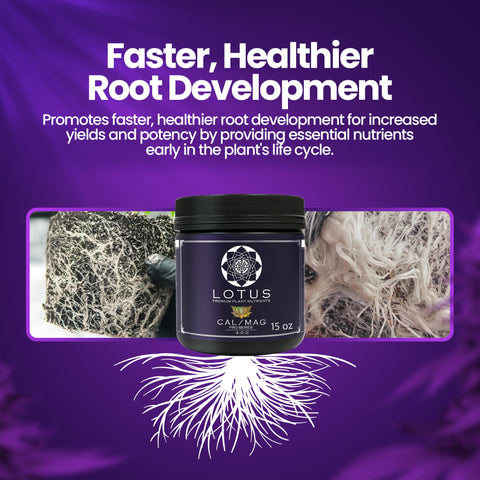 Lotus Nutrients Cal-Mag Pro paired with LED grow lights supports steady uptake.