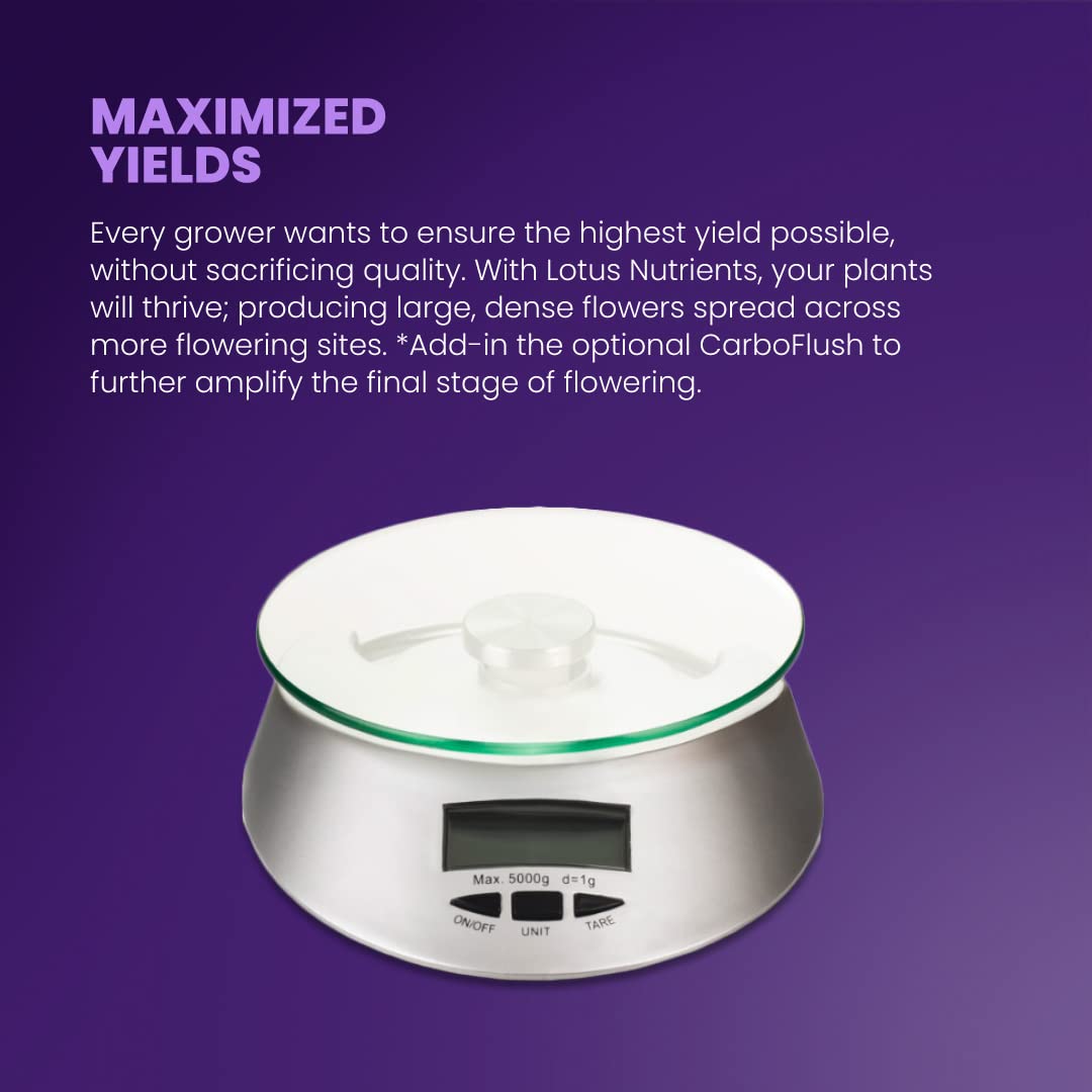 Lotus Nutrients Cal-Mag Pro supports vegetative and flowering feeding in the Lotus Pro Series.