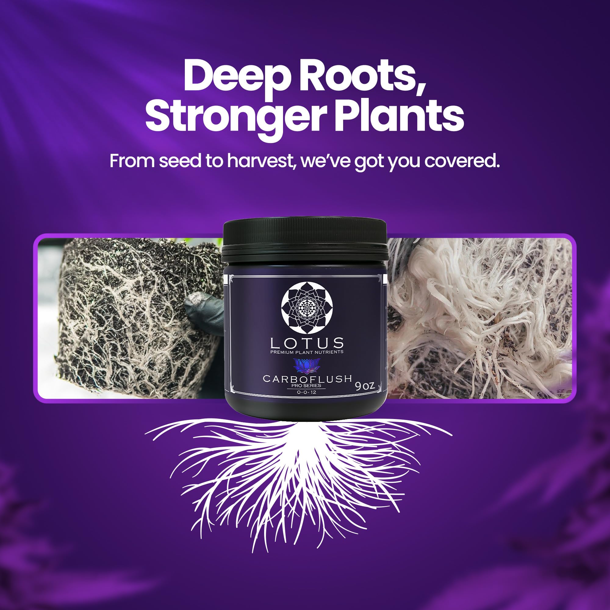 Lotus Nutrients CarboFinish in hydro setup signaling resin and terpene enhancement