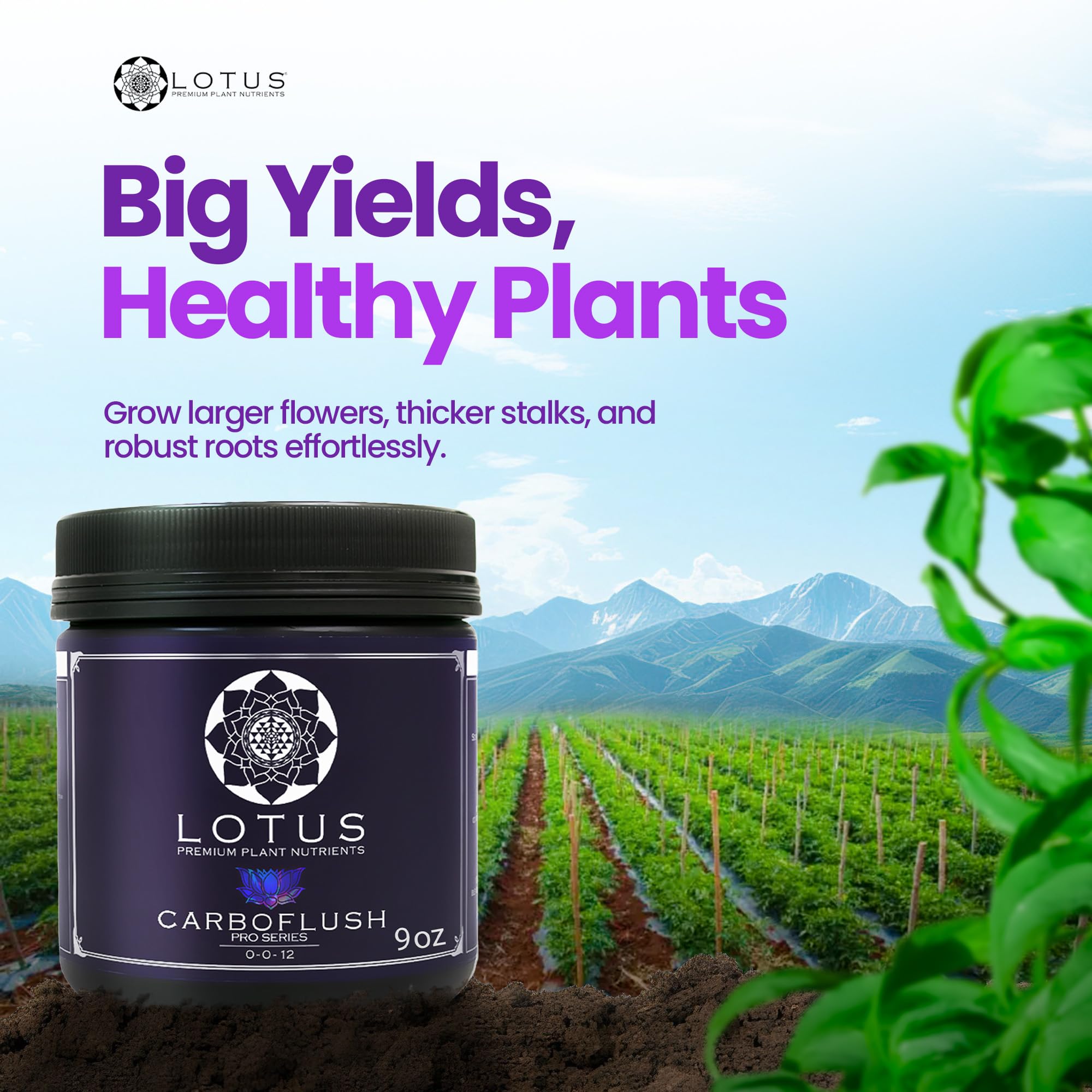 Lotus Nutrients CarboFinish packaging showing microbial-friendly formula for healthier root zones