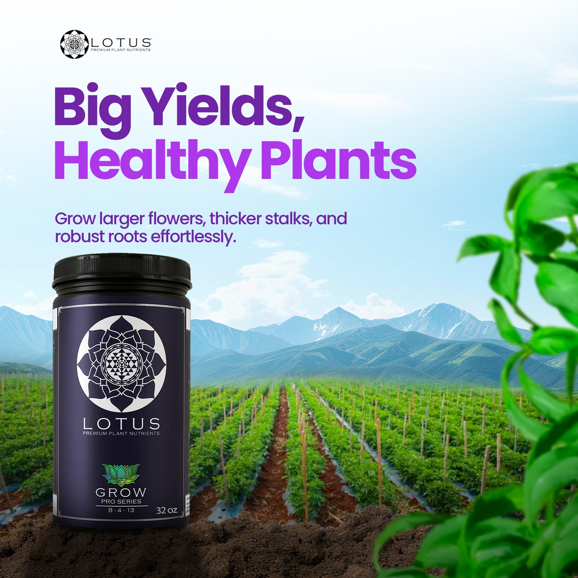 Versatile application across coco coir, hydro, and soil media.