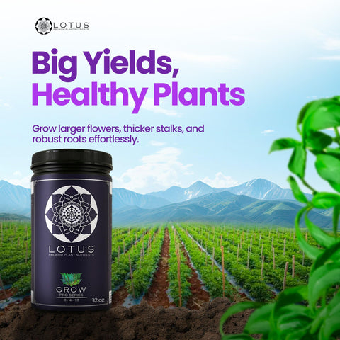 Versatile application across coco coir, hydro, and soil media.