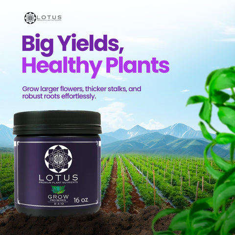 Lotus Nutrients Grow Pro Series coco coir setup for consistent growth