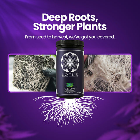 Pairs with Lotus Boost and Bloom for full-cycle feeding.