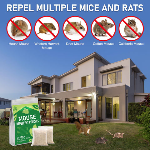 Lousye safe for humans and pets when used indoors in cars and garages