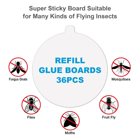 Lousye sticky card surface close-up showing strong adhesion for fly traps.