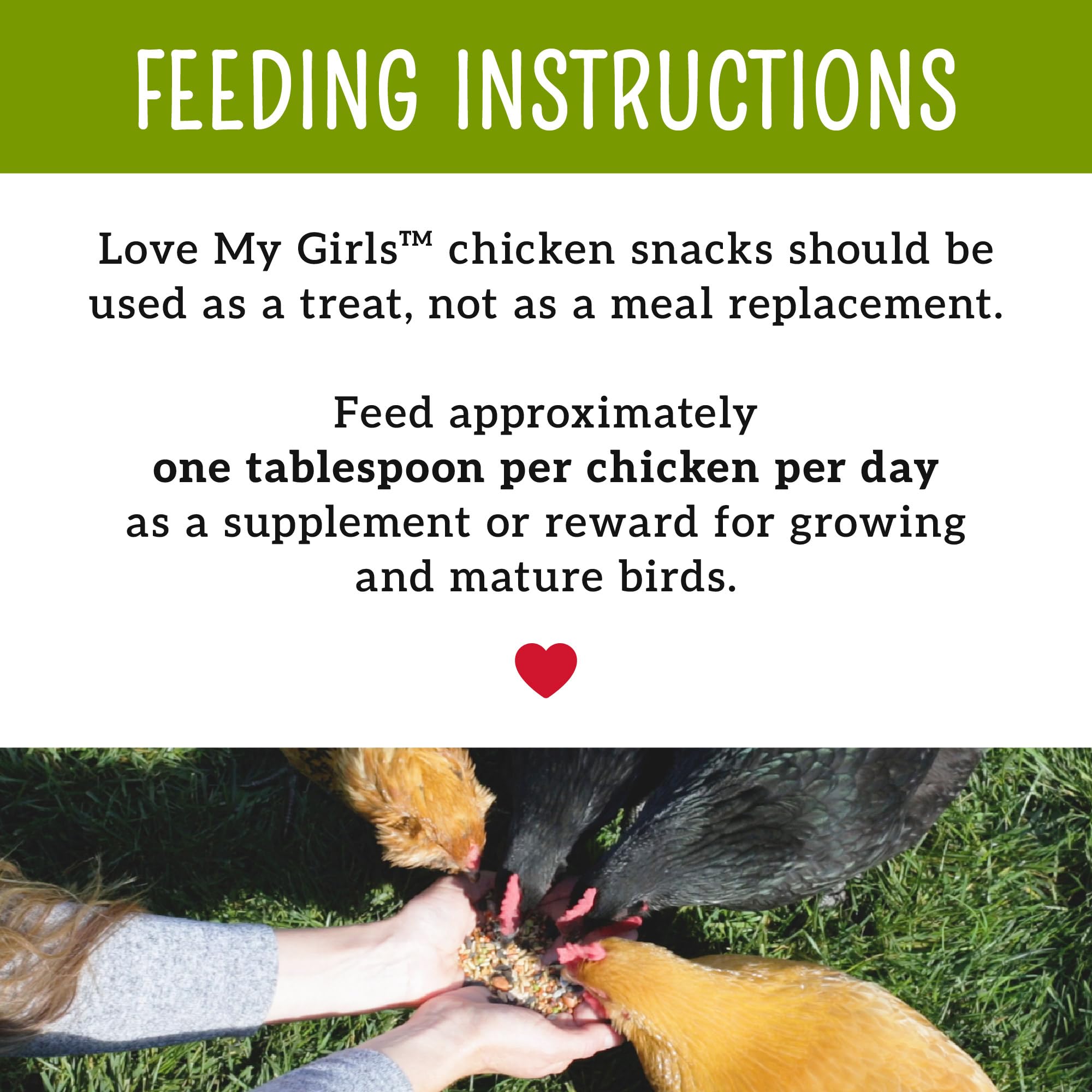 Love My Girls mealworms provide a protein-rich treat for muscles