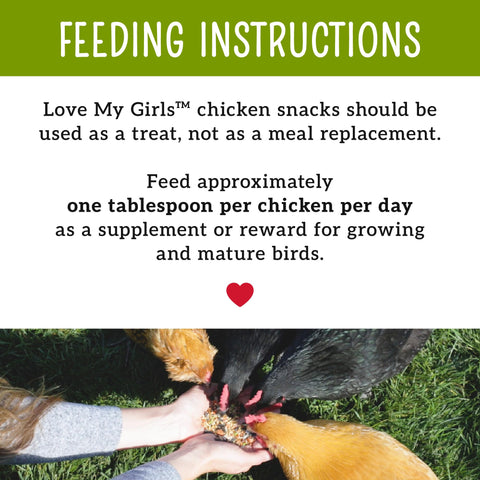 Love My Girls mealworms provide a protein-rich treat for muscles