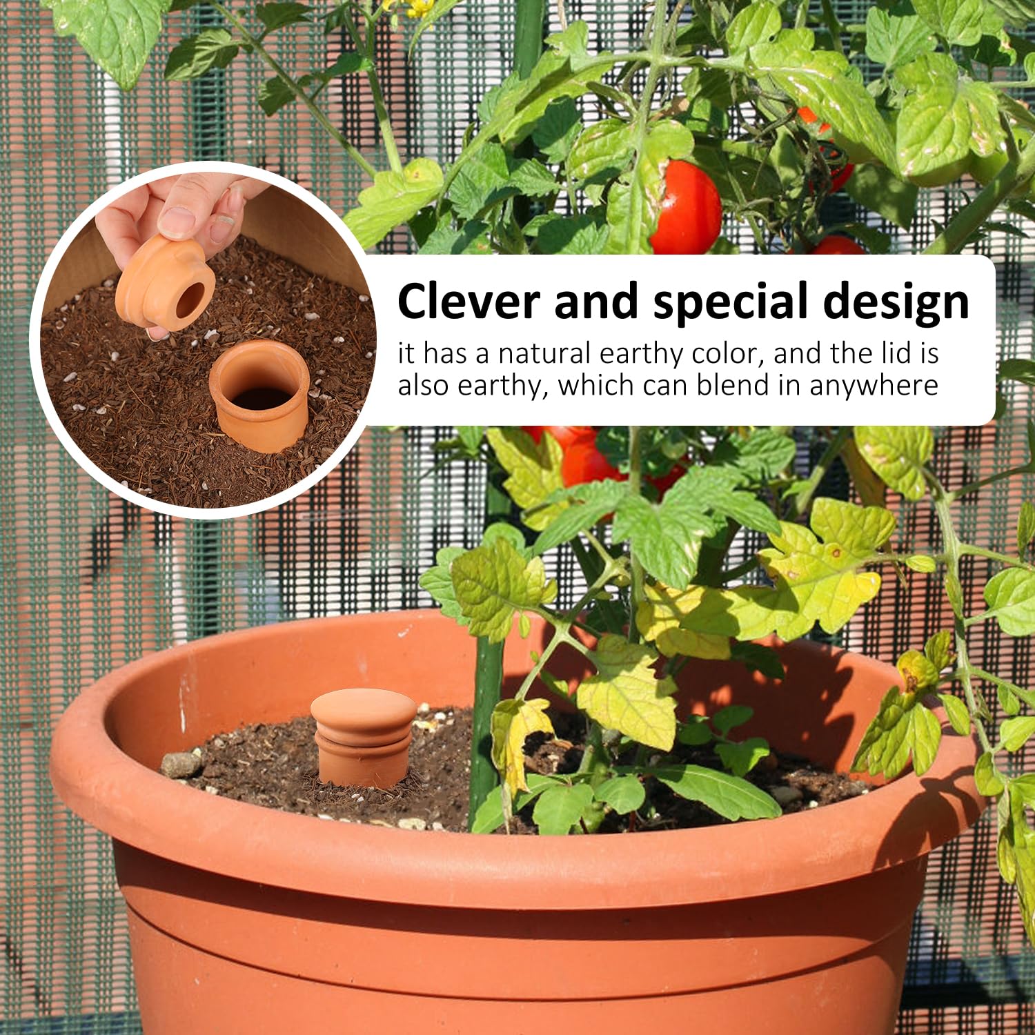 Lovely Ran Ollas self-watering globe inside a planter promotes even hydration.