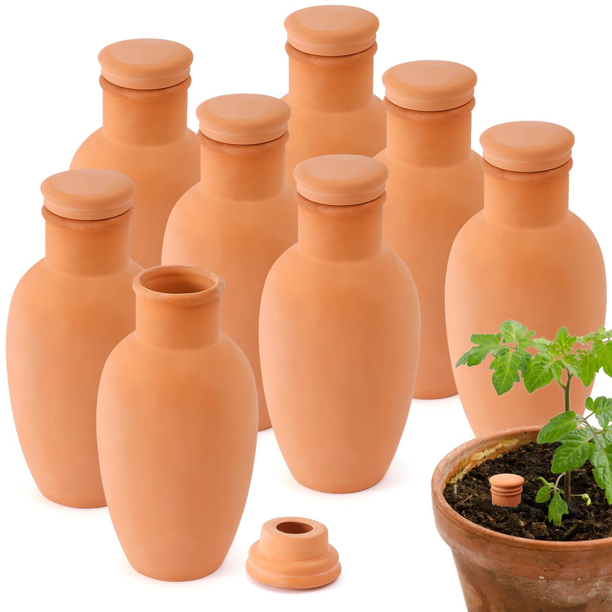 Lovely Ran Ollas terracotta watering globe setup for steady moisture in pots.