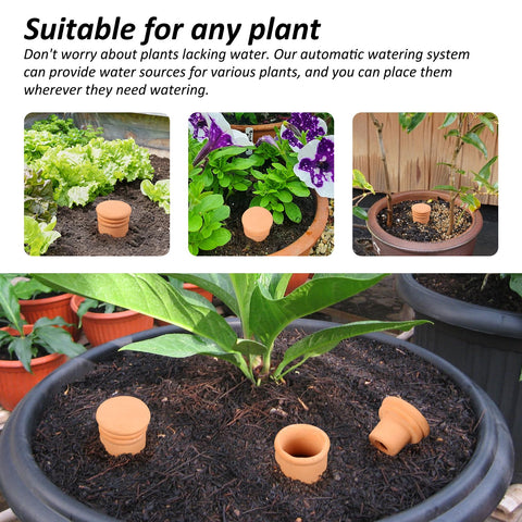 Lovely Ran self-watering system reduces routine checks for busy days.