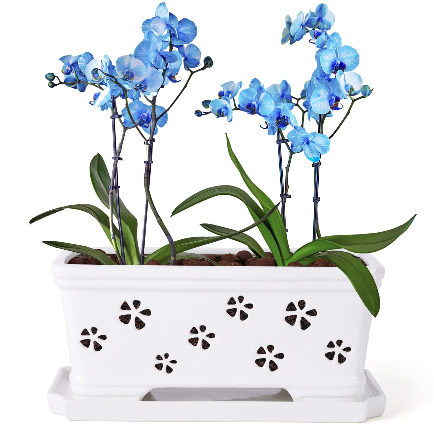 Lovely Ran 10 Inch Rectangle Ceramic Orchid Pot front view with breathable design.