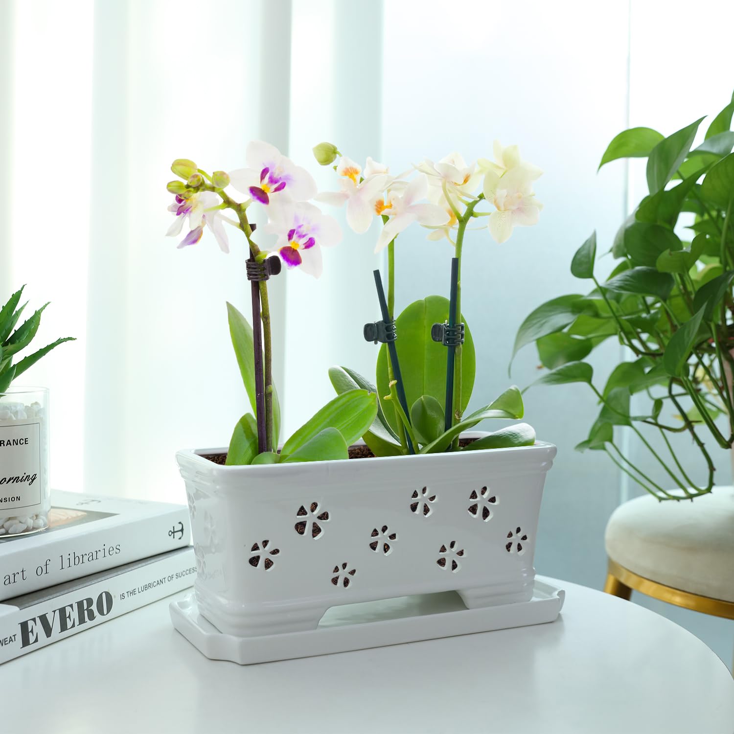 Butterfly-inspired carved detailing on Lovely Ran orchid pot.