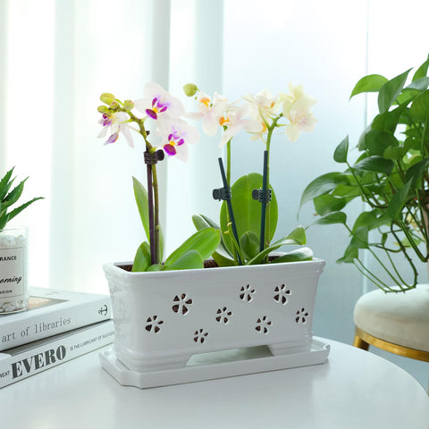 Butterfly-inspired carved detailing on Lovely Ran orchid pot.