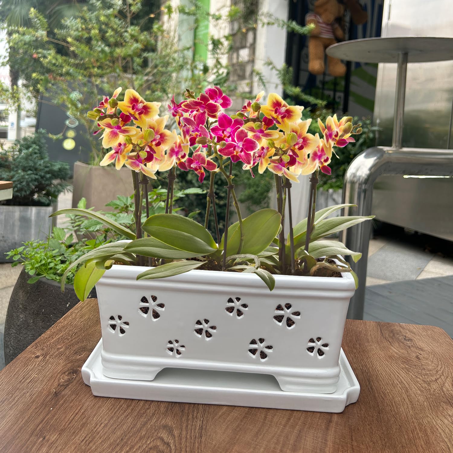 Lovely Ran orchid pot for indoor or outdoor use elevates room aesthetics.