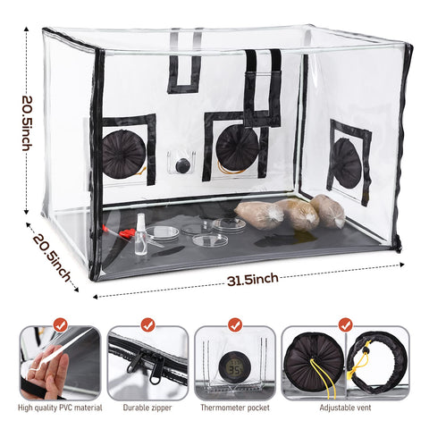 Lovely Ran mushroom growth tent setup showing compact home kit for hobby growers.