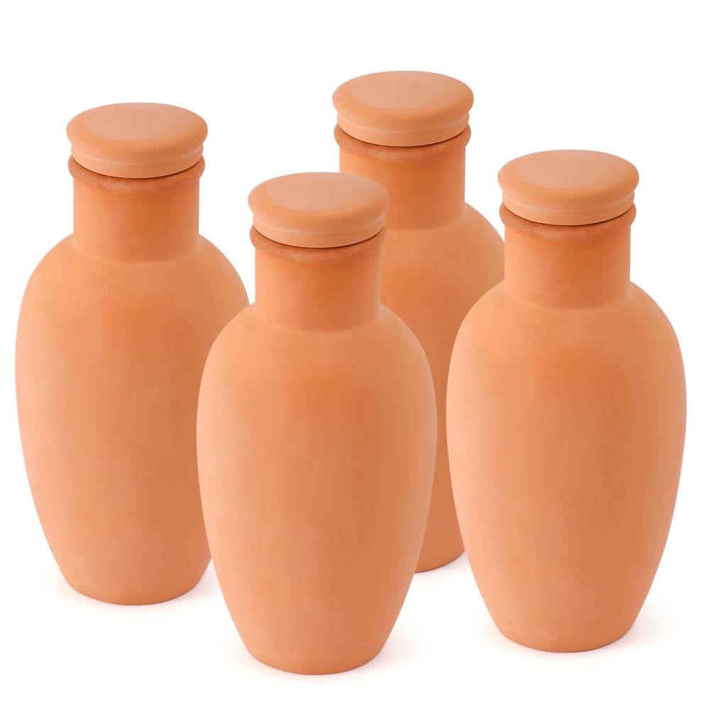 Lovely Ran olla terracotta watering ball in soil delivering steady moisture to outdoor plants.