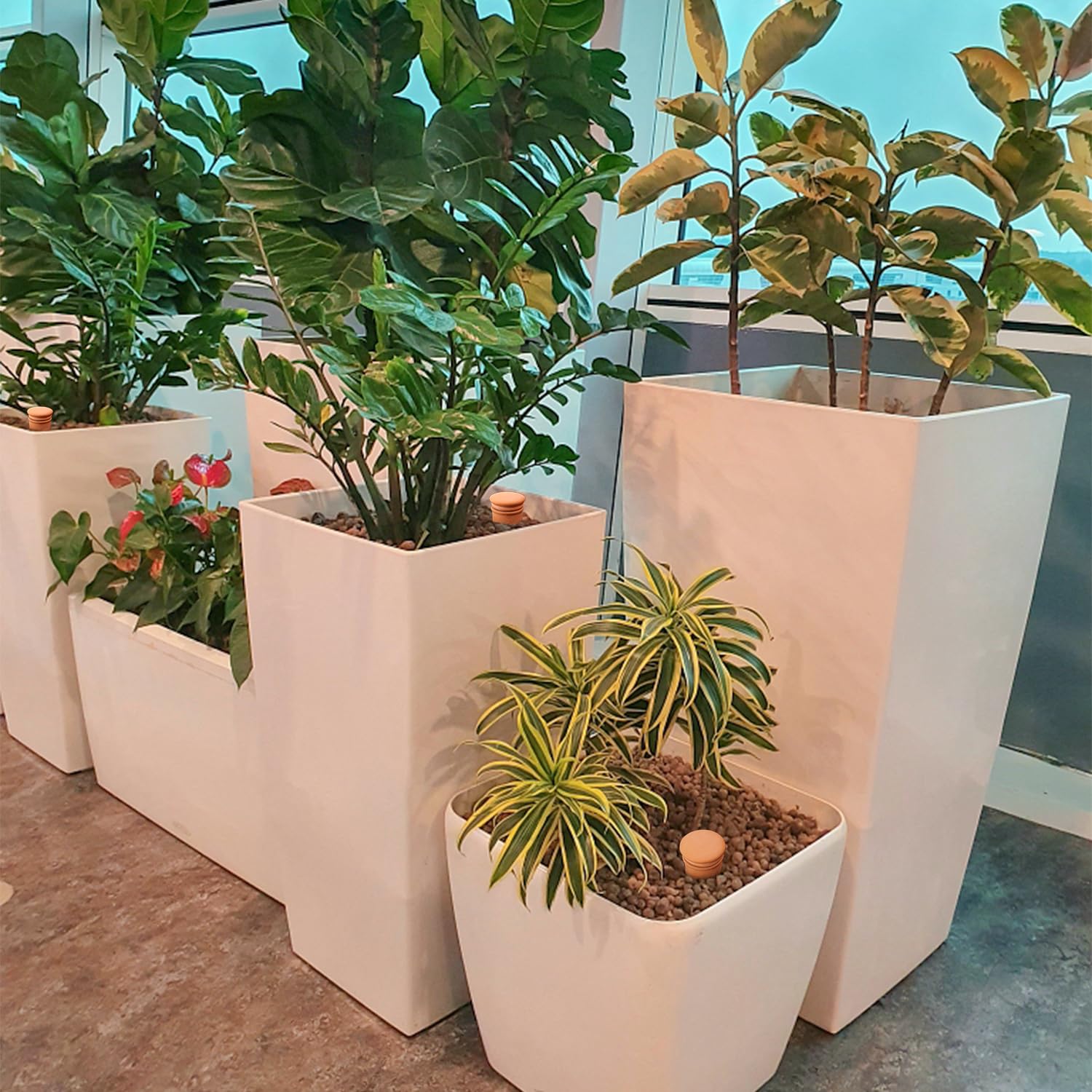Lovely Ran Ollas terracotta design blending with plant pots for subtle irrigation