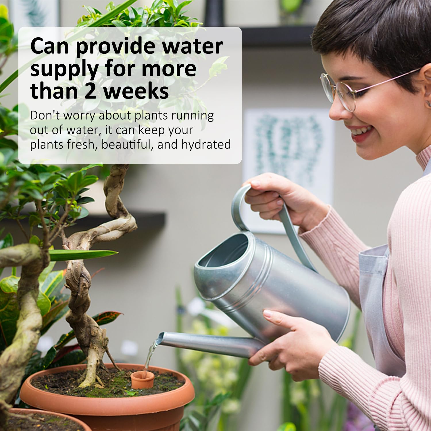 Lovely Ran Ollas demonstrates autonomous watering for travel or busy days