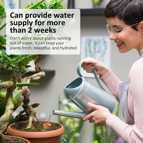 Lovely Ran Ollas demonstrates autonomous watering for travel or busy days