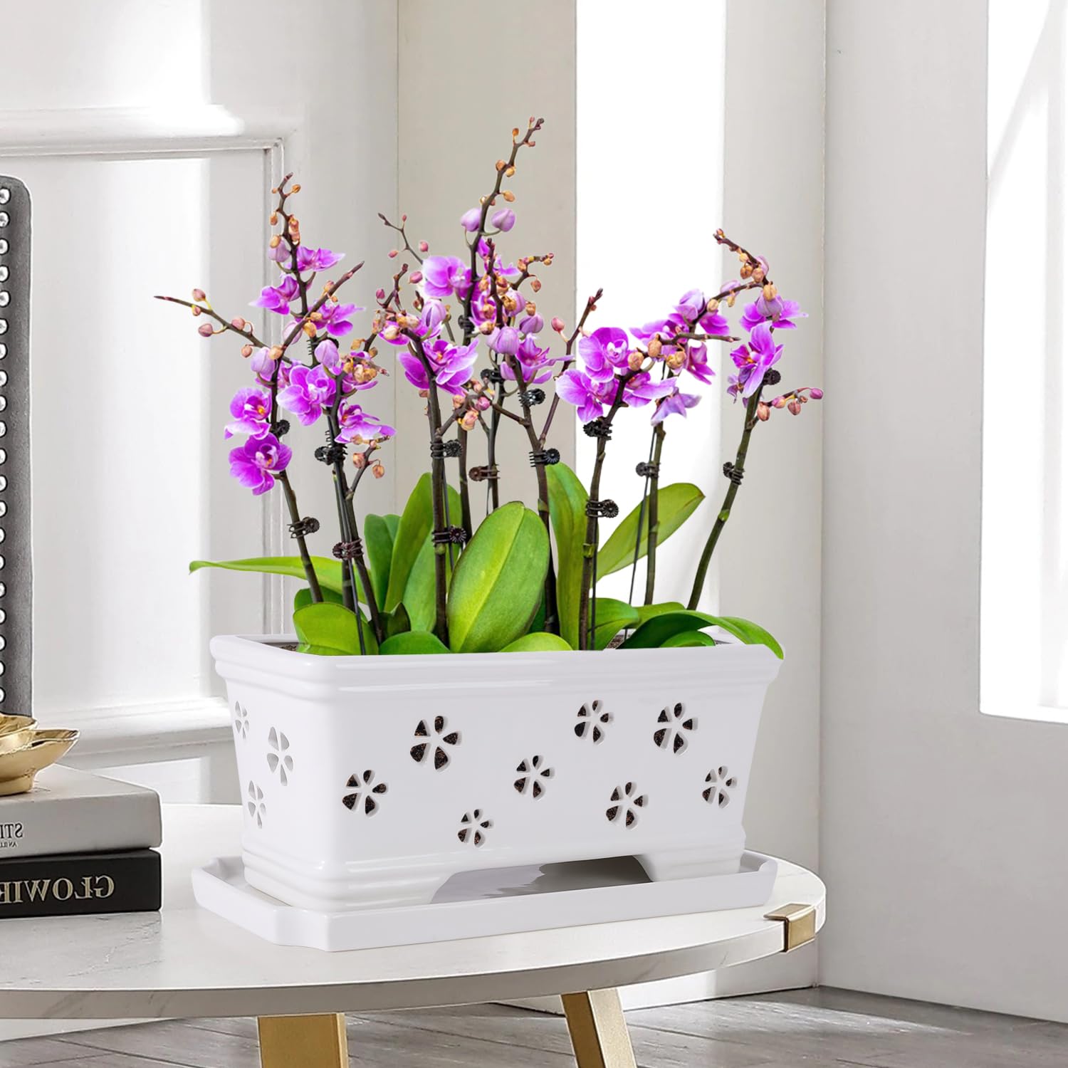 Lovely Ran orchid pot shows bottom drainage hole to keep roots drier.
