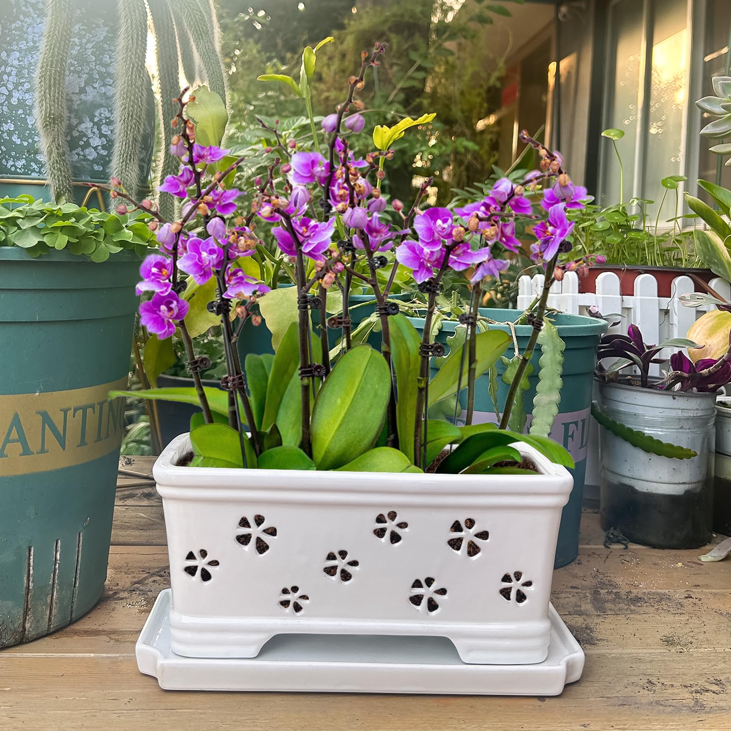 Lovely Ran pot includes matching tray to prevent water loss during busy days.