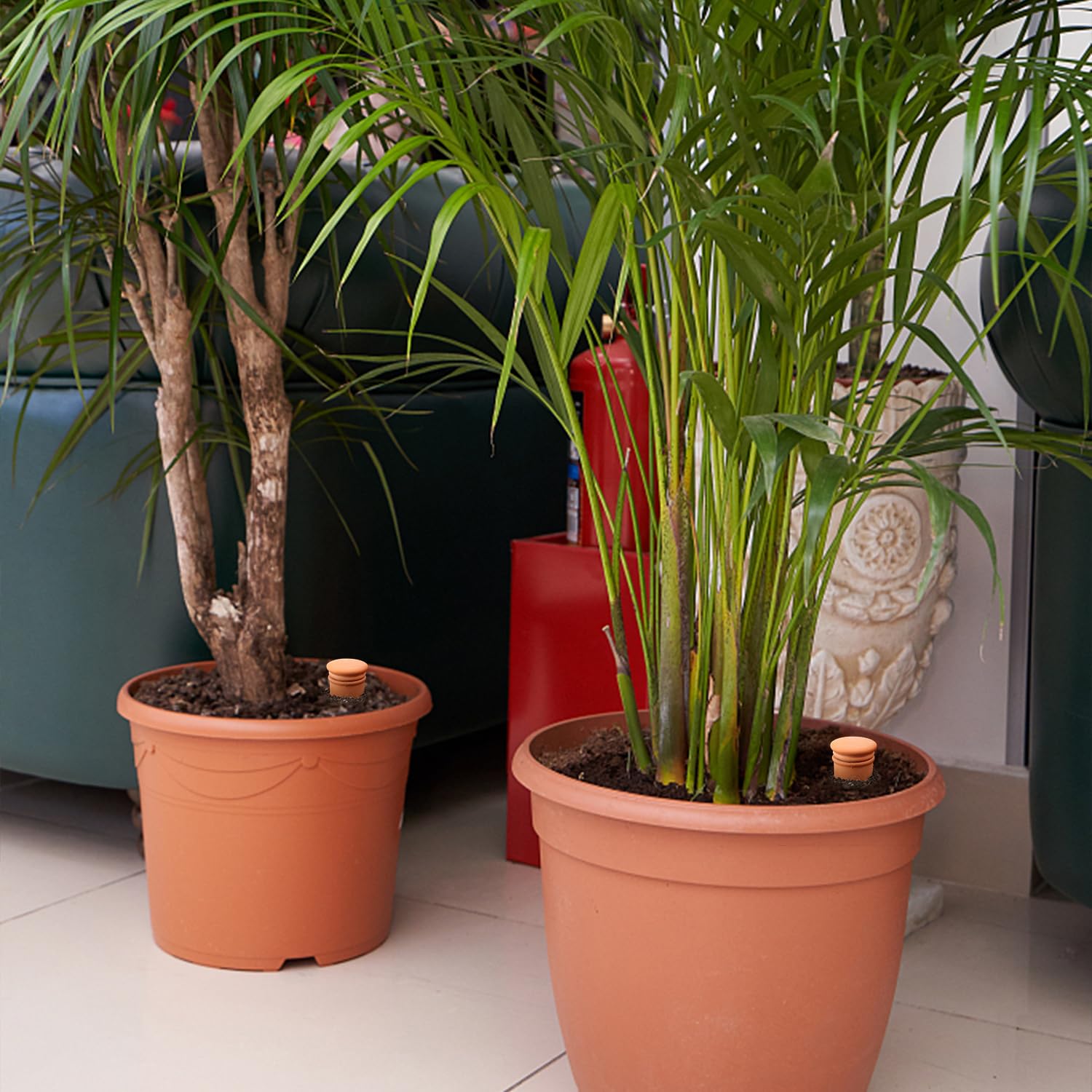 Lovely Ran outdoor garden use showcases simple irrigation for diverse plants.