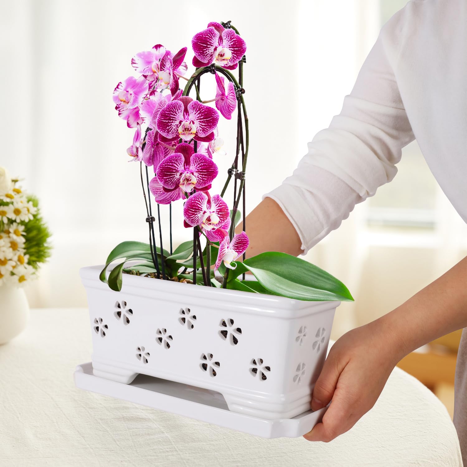 Close-up of drainage hole design on Lovely Ran ceramic orchid pot.