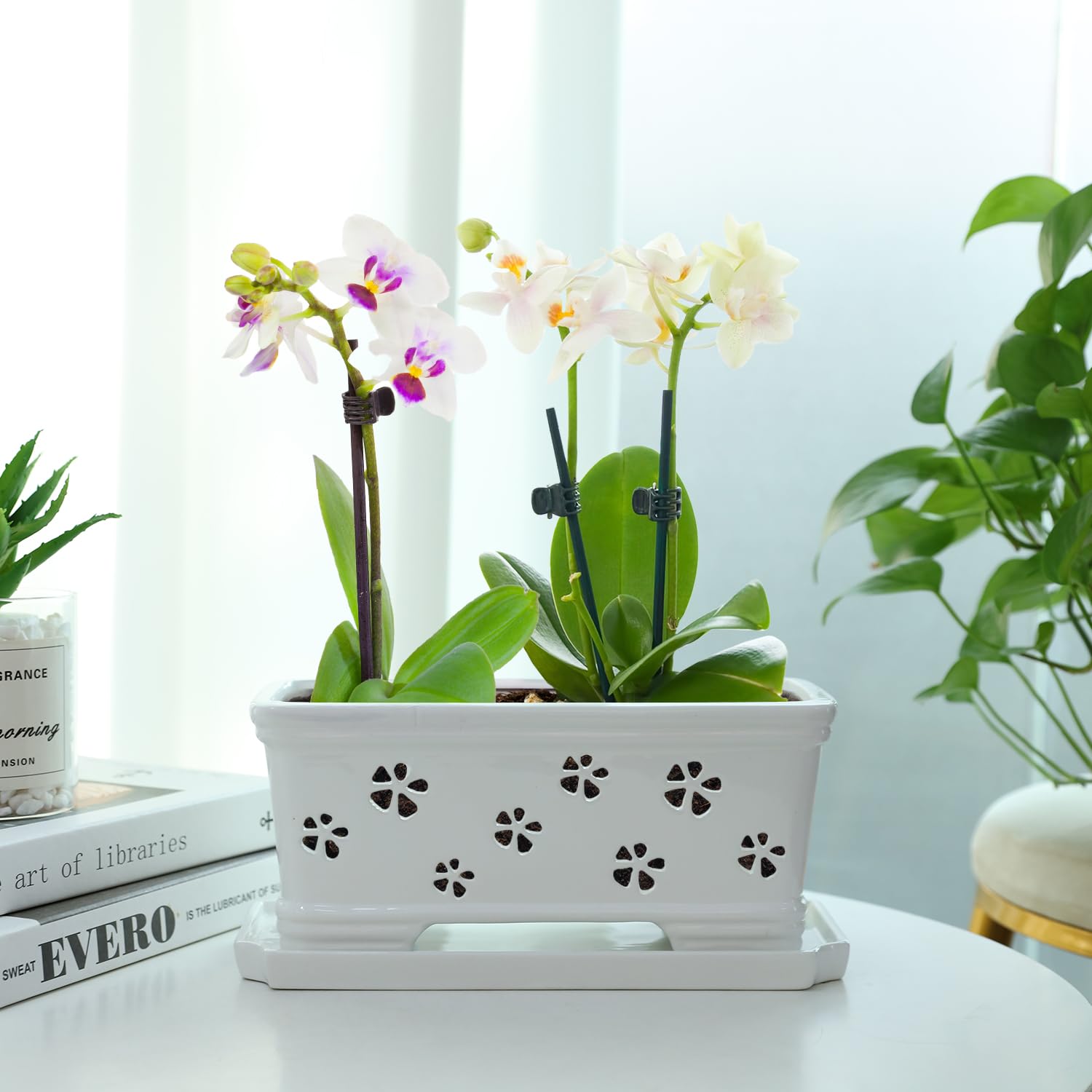 Lovely Ran pot with tray catching excess water for easy maintenance.