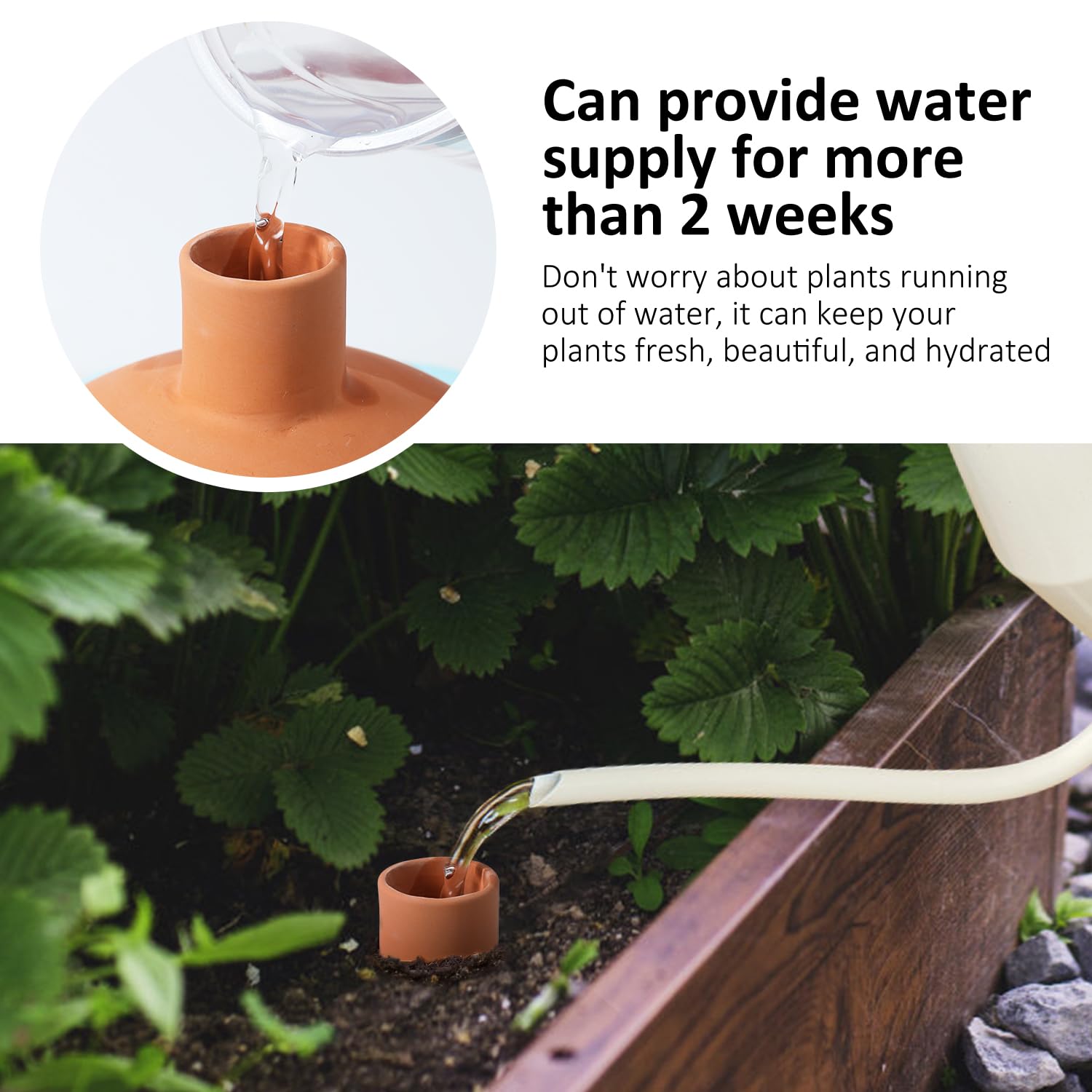 Lovely Ran three week irrigation supports plant care during busy trips