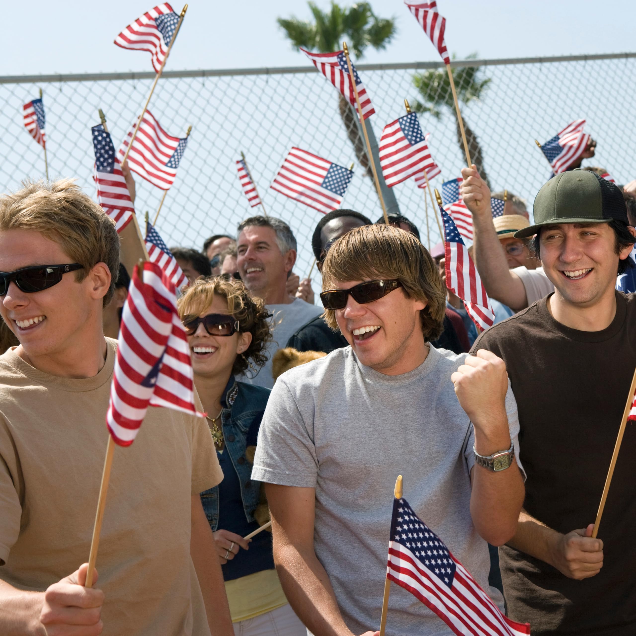 LoveVC American flag on a stick for cup or wall display