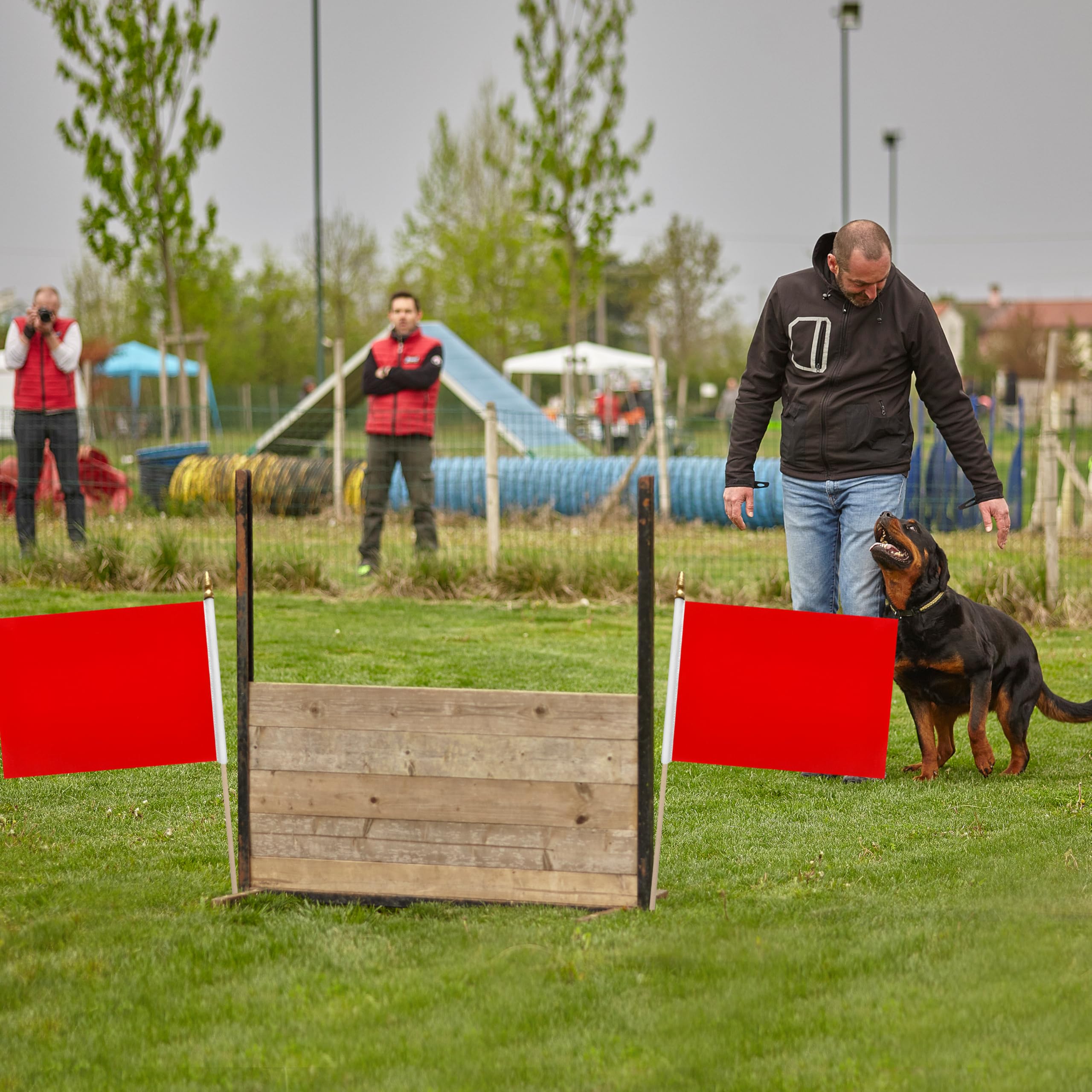LoveVC flags on 17.5 inch sticks ideal for ground insertion and display