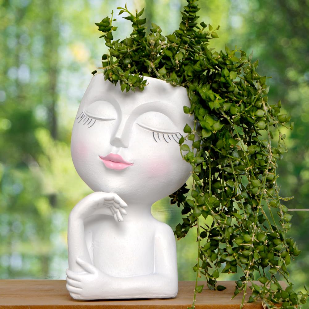 LovTocTic face planter small and lightweight resin ideal for desks and shelves.