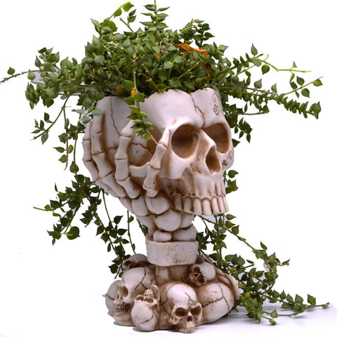 LovTocTic Skull Planter with detailed skull statue for stylish desk decor
