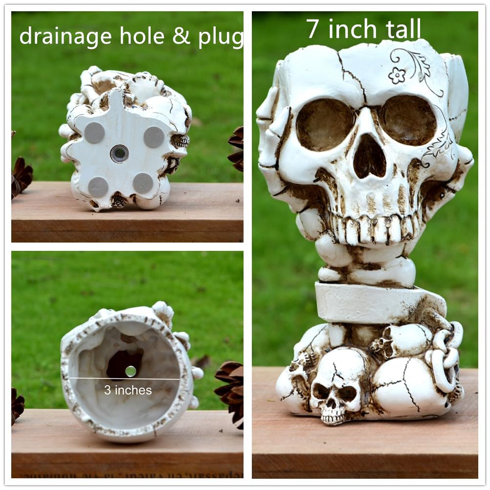 LovTocTic lightweight resin skull planter ideal for shelves