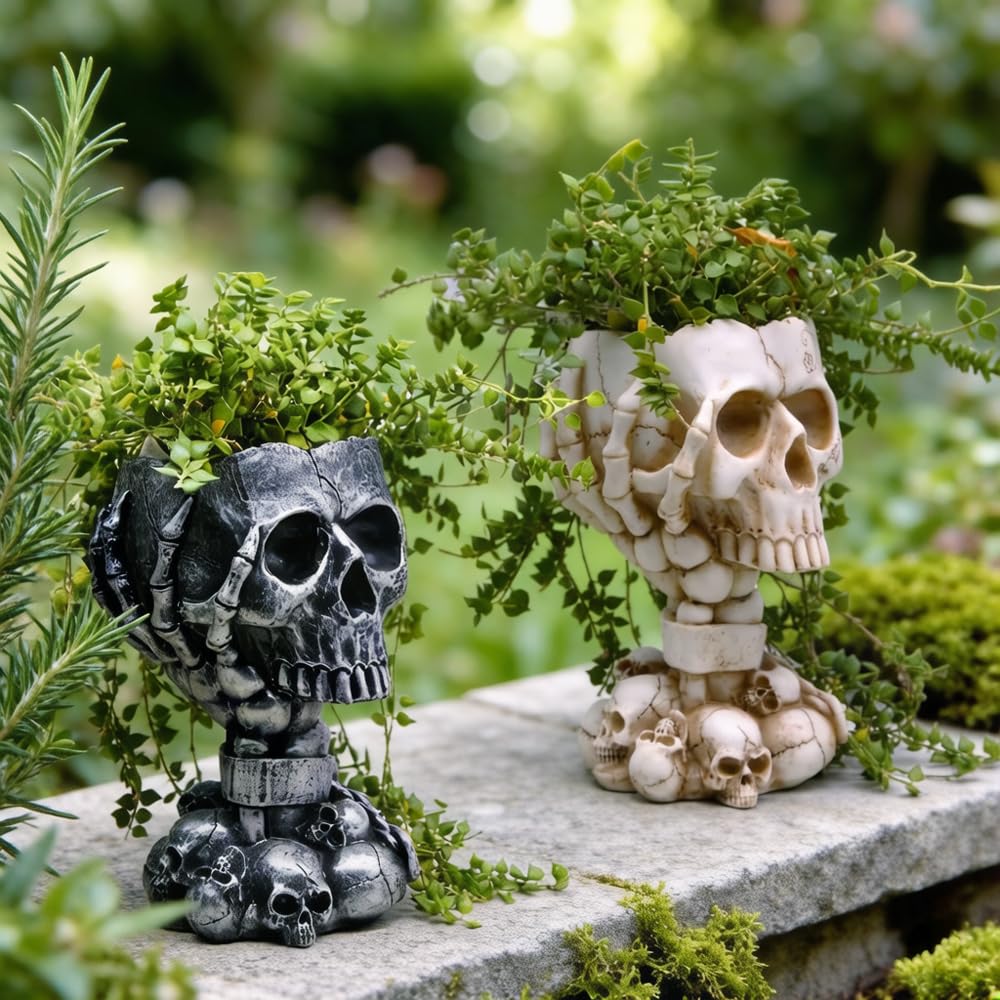 LovTocTic skull planter packaging ready for gifting or display.
