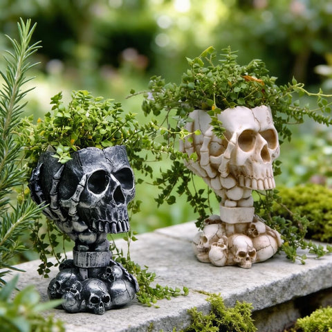 LovTocTic skull planter packaging ready for gifting or display.