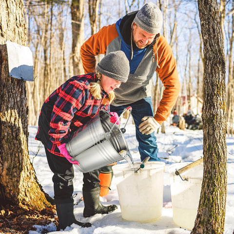 LOYIM maple sap tapping kit complete set suited for beginners and outdoor use.