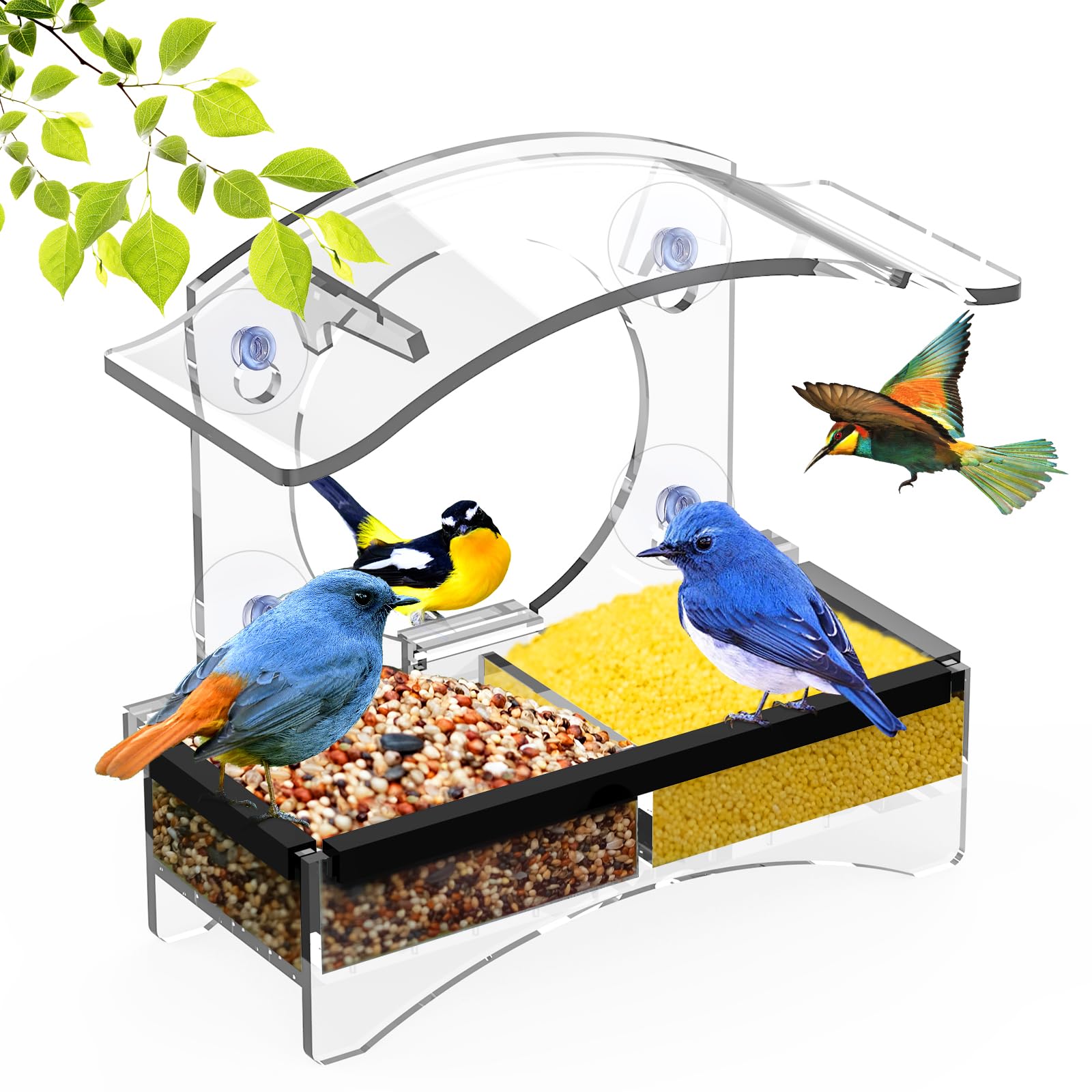 Loz Silan Window Feeder with strong suction cups for secure birdwatching.